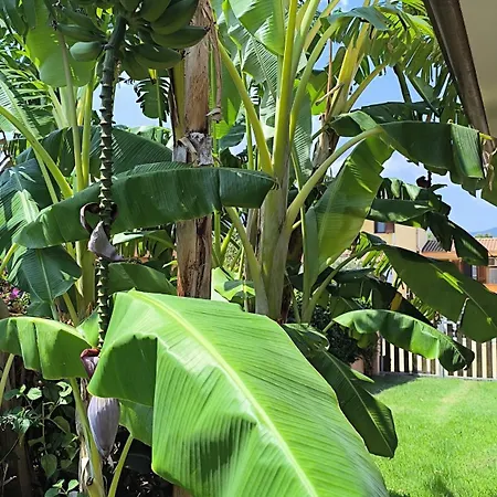 Appartamento Casa Serenas, A 5 Minuti Dal Mare Con Parcheggio, Clima E Tutto Il Necessario Per La Tua In Relax Castiadas