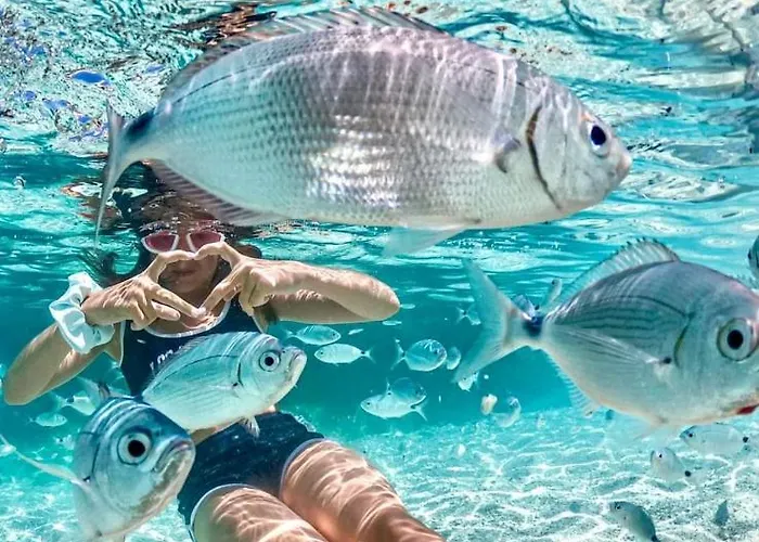 Apartment Casa Serenas, A 5 Minuti Dal Mare Con Parcheggio, Clima E Tutto Il Necessario Per La Tua In Relax Castiadas