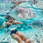 Lejlighed Casa Serenas, A 5 Minuti Dal Mare Con Parcheggio, Clima E Tutto Il Necessario Per La Tua In Relax Castiadas