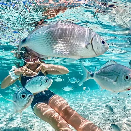 דירה Casa Serenas, A 5 Minuti Dal Mare Con Parcheggio, Clima E Tutto Il Necessario Per La Tua In Relax קסטיאדס