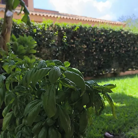 Casa Serenas, A 5 Minuti Dal Mare Con Parcheggio, Clima E Tutto Il Necessario Per La Tua In Relax 公寓