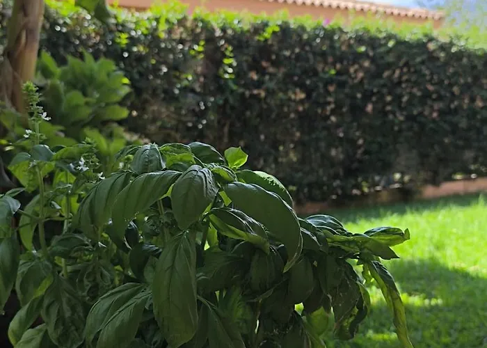 Casa Serenas, A 5 Minuti Dal Mare Con Parcheggio, Clima E Tutto Il Necessario Per La Tua In Relax 公寓