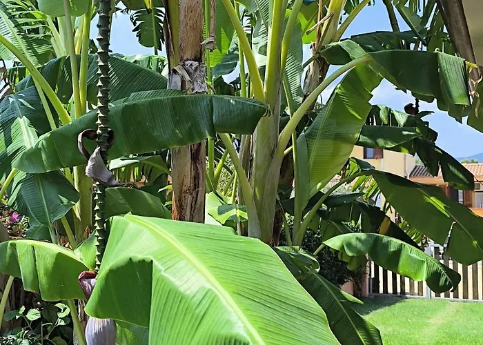 아파트 Casa Serenas, A 5 Minuti Dal Mare Con Parcheggio, Clima E Tutto Il Necessario Per La Tua In Relax 카스티아다스